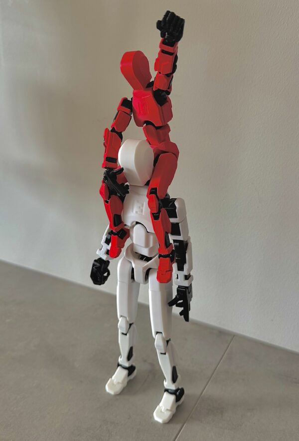 Liigendatud ROBOT